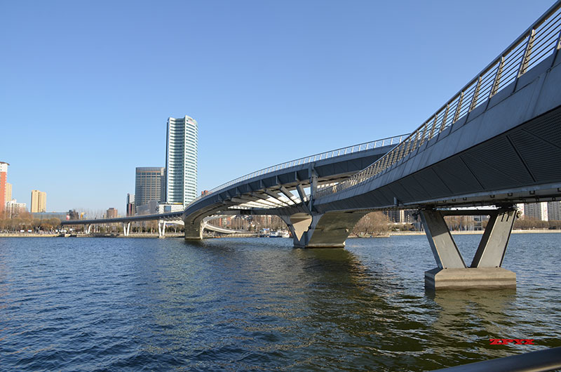 景观桥3.JPG