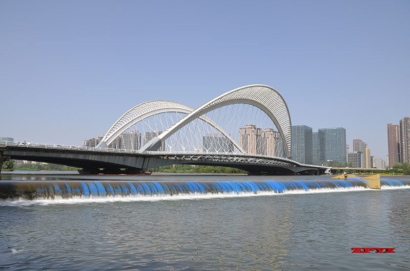 南中环桥3.JPG