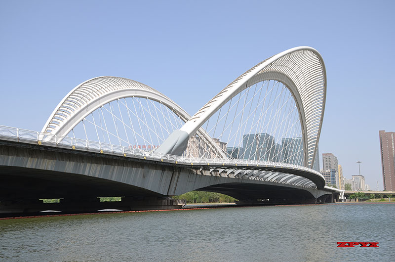 南中环桥4.JPG